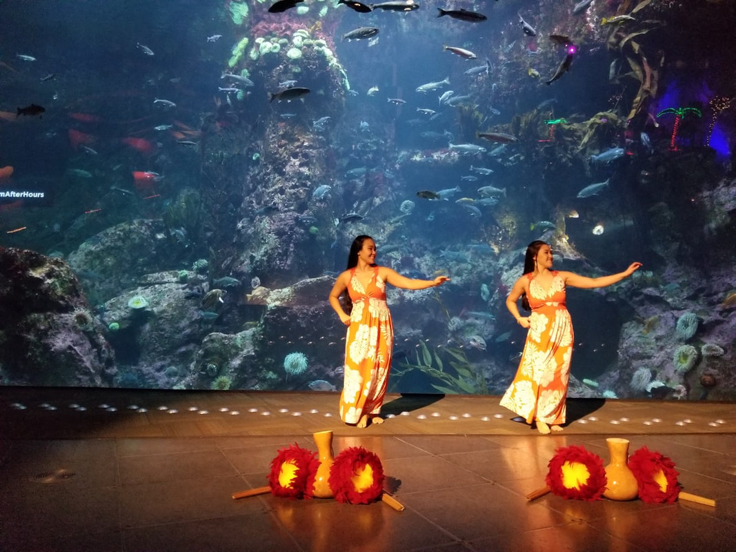 Photo of Hula performances in Seattle by the Polynesian Dance Troupe Huraiti Mana