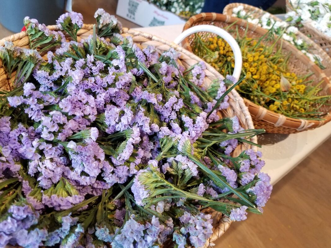 Photo of statice and yarrow, some of the many flowers featured at Kalei'okalani's Lei-Making Workshop in Seattle's Chinatown-International District Wing Luke Museum